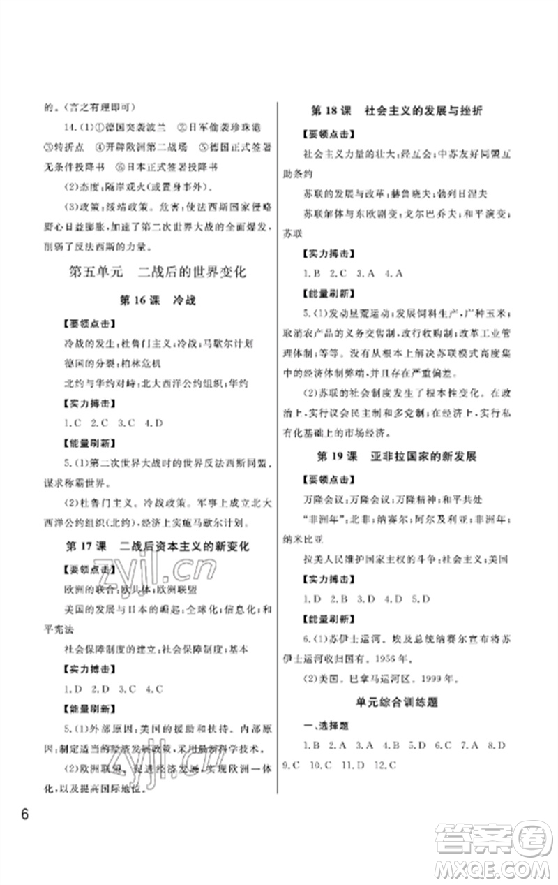 武漢出版社2023智慧學習天天向上課堂作業(yè)九年級歷史下冊人教版參考答案