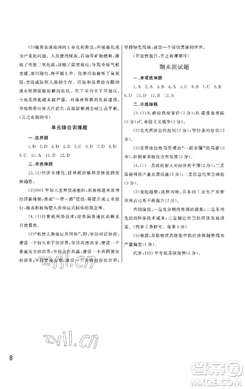 武漢出版社2023智慧學習天天向上課堂作業(yè)九年級歷史下冊人教版參考答案