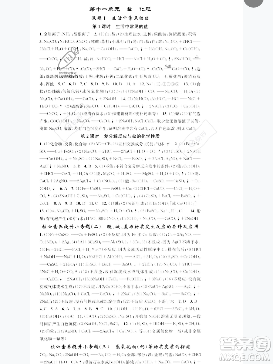天津科學技術出版社2023智慧學堂核心素養(yǎng)提升法九年級下冊化學人教版參考答案
