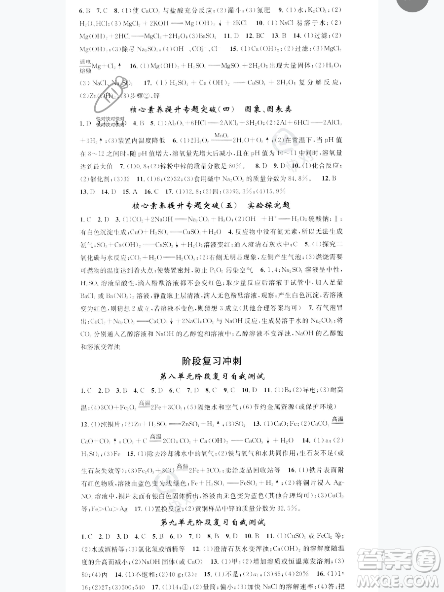 天津科學技術出版社2023智慧學堂核心素養(yǎng)提升法九年級下冊化學人教版參考答案