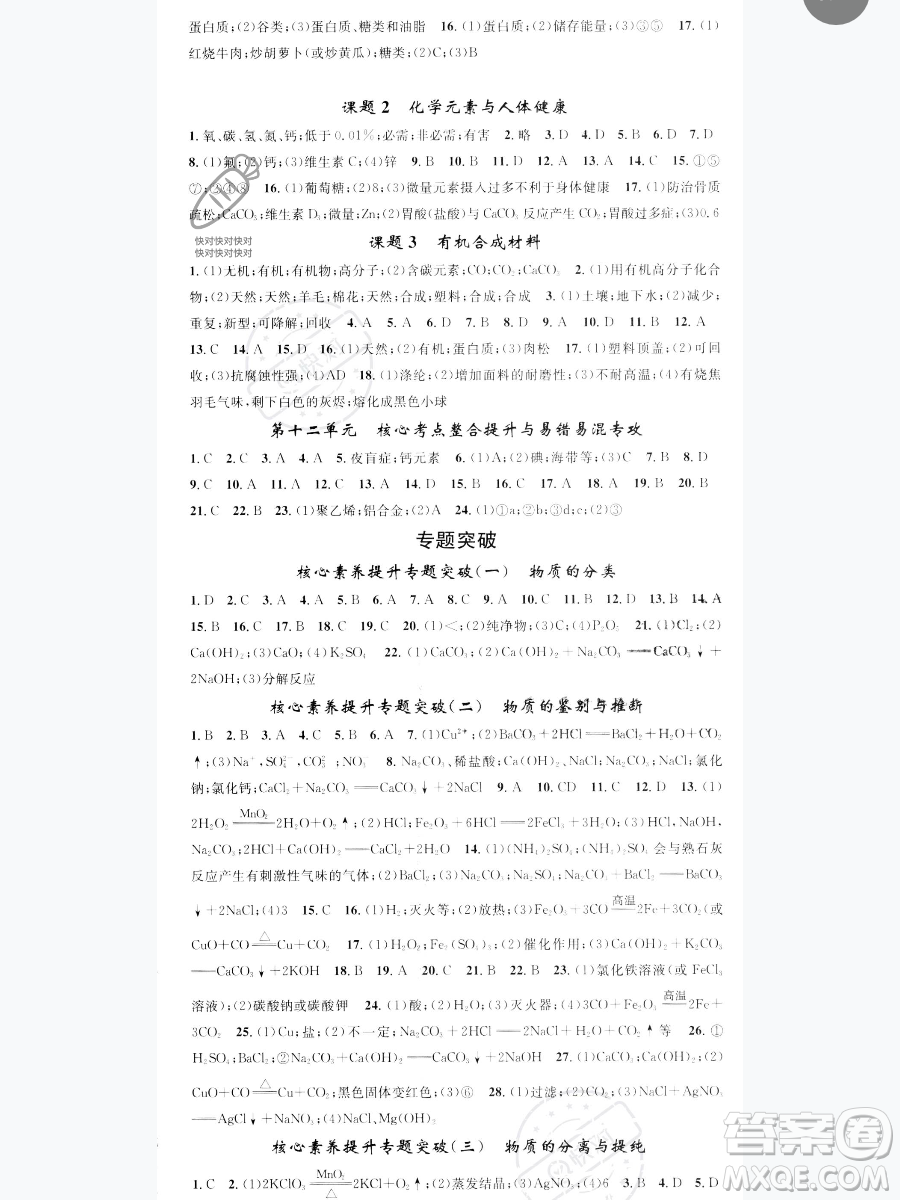天津科學技術出版社2023智慧學堂核心素養(yǎng)提升法九年級下冊化學人教版參考答案