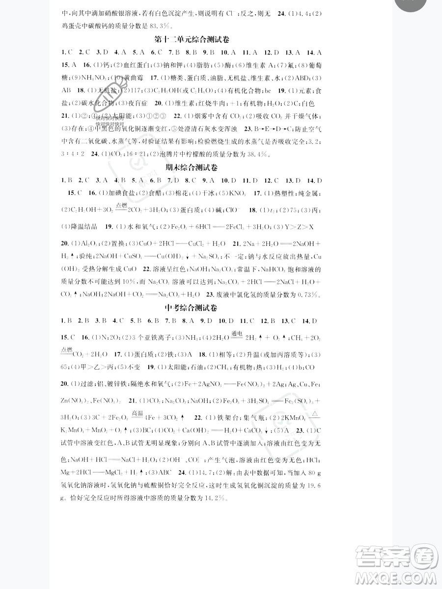 天津科學技術出版社2023智慧學堂核心素養(yǎng)提升法九年級下冊化學人教版參考答案