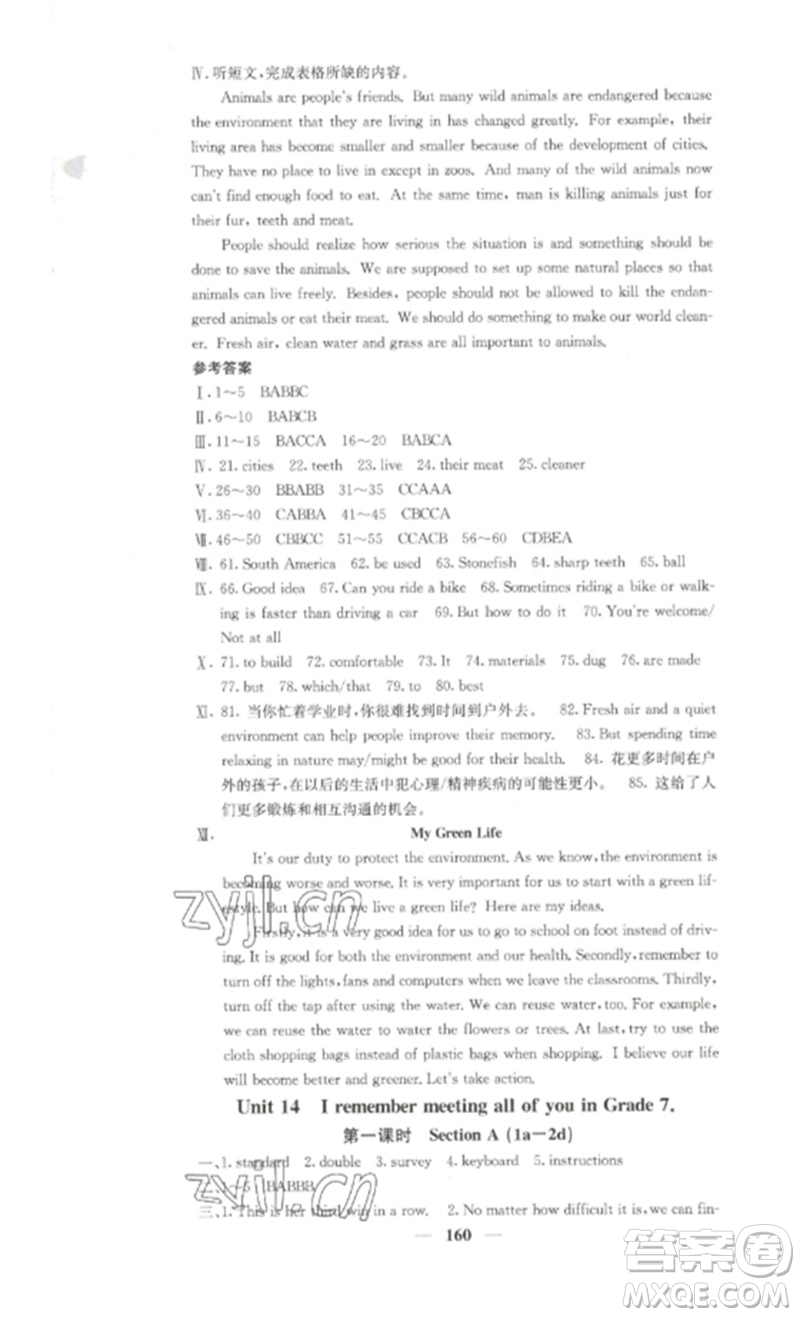 四川大學(xué)出版社2023課堂點(diǎn)睛九年級(jí)英語下冊(cè)人教版湖南專版參考答案
