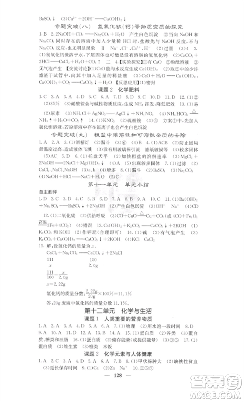 四川大學(xué)出版社2023課堂點(diǎn)睛九年級(jí)化學(xué)下冊(cè)人教版參考答案