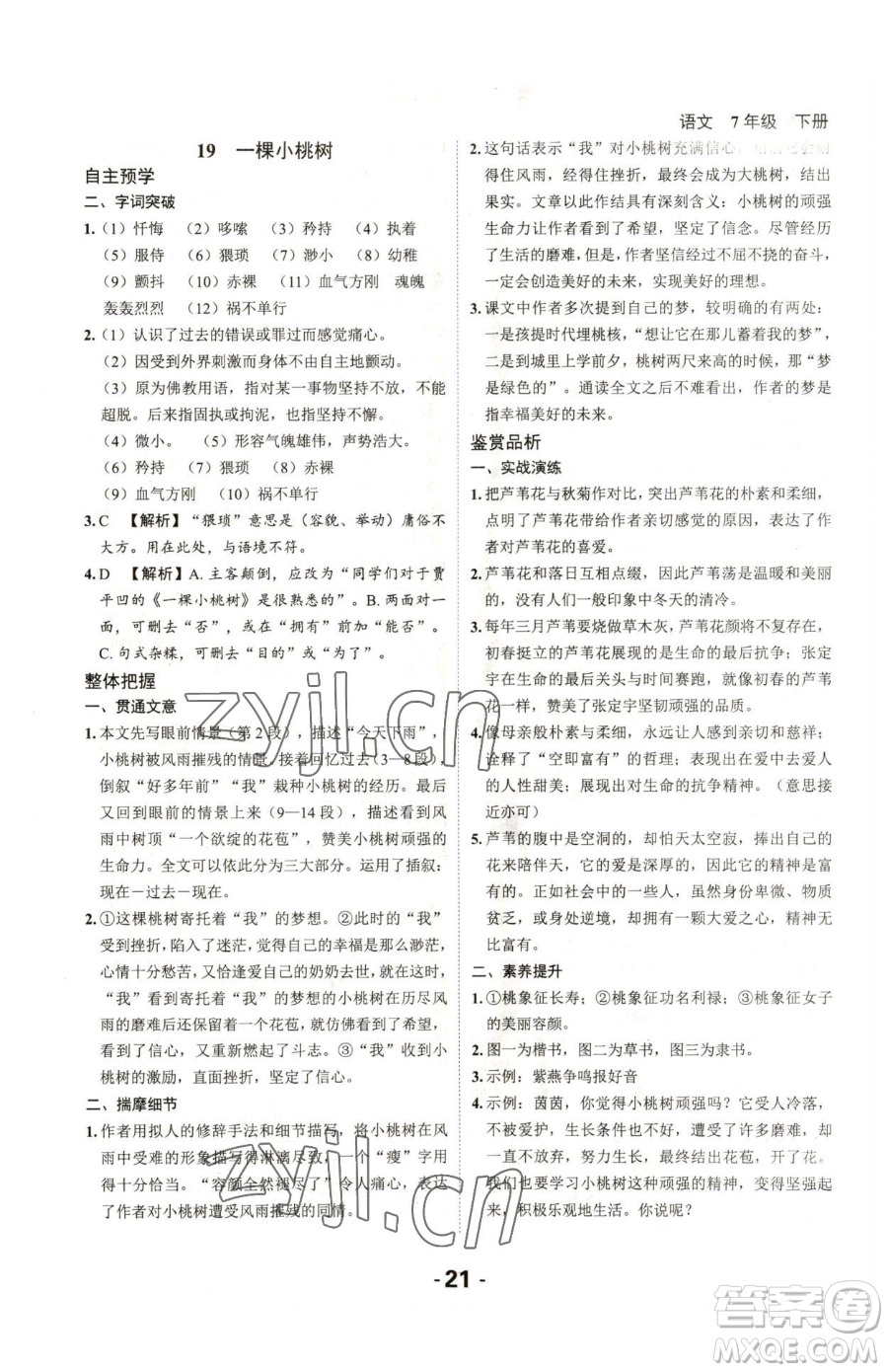 延邊大學(xué)出版社2023全程突破七年級(jí)下冊(cè)語(yǔ)文人教版參考答案
