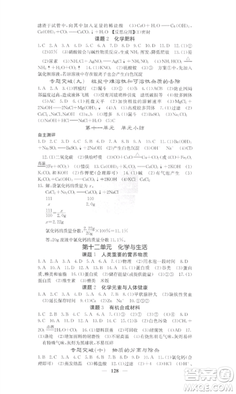 四川大學(xué)出版社2023課堂點(diǎn)睛九年級化學(xué)下冊人教版安徽專版參考答案