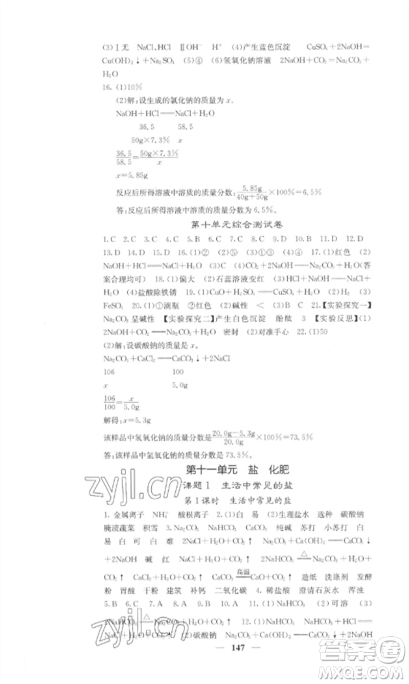 四川大學(xué)出版社2023課堂點(diǎn)睛九年級化學(xué)下冊人教版湖南專版參考答案