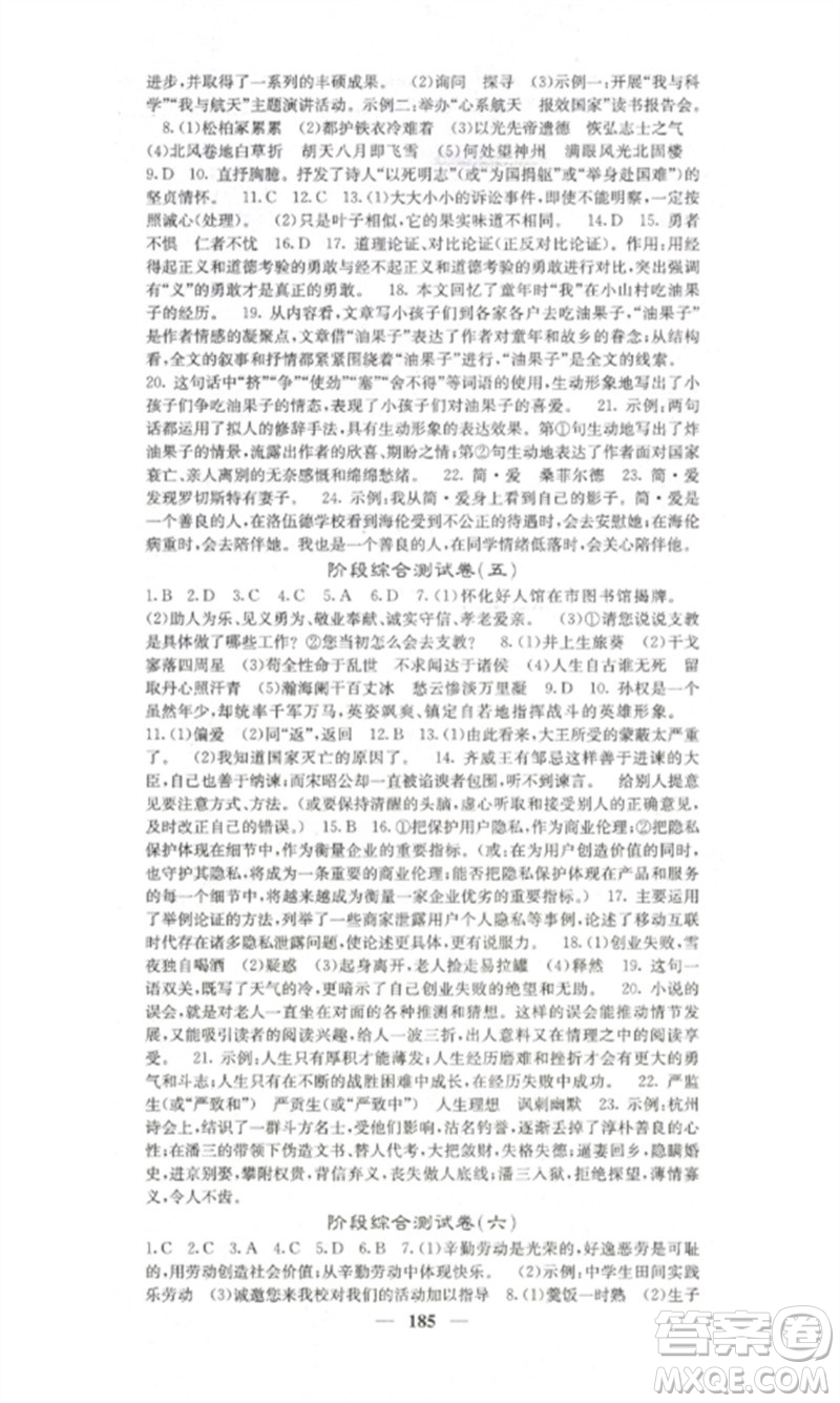 四川大學(xué)出版社2023課堂點(diǎn)睛九年級(jí)語(yǔ)文下冊(cè)人教版湖南專版參考答案