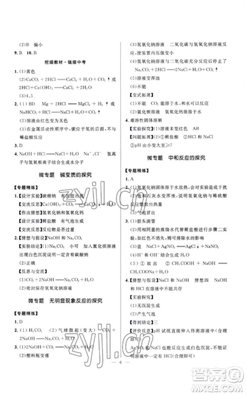 河北少年兒童出版社2023奪冠百分百中考沖刺九年級(jí)化學(xué)精講冊(cè)通用版河北專版參考答案