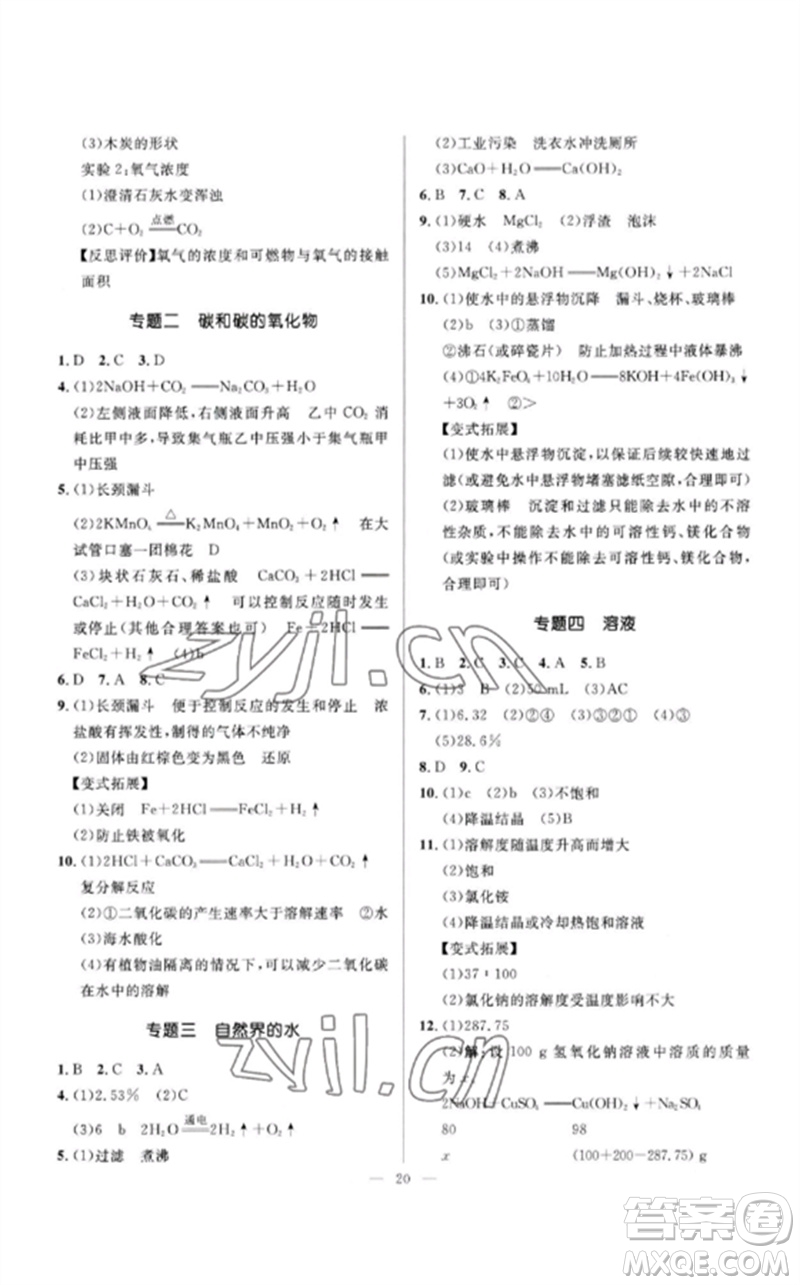 河北少年兒童出版社2023奪冠百分百中考沖刺九年級(jí)化學(xué)精講冊(cè)通用版河北專版參考答案