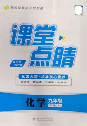 四川大學(xué)出版社2023課堂點(diǎn)睛九年級(jí)化學(xué)下冊(cè)人教版參考答案