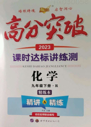 世界圖書出版公司2023高分突破課時(shí)達(dá)標(biāo)講練測九年級化學(xué)下冊人教版參考答案