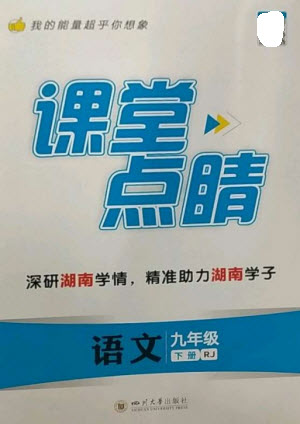 四川大學(xué)出版社2023課堂點(diǎn)睛九年級(jí)語(yǔ)文下冊(cè)人教版湖南專版參考答案