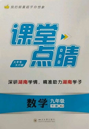 四川大學(xué)出版社2023課堂點(diǎn)睛九年級(jí)數(shù)學(xué)下冊(cè)湘教版參考答案