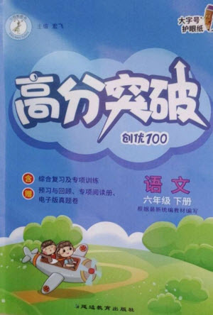 延邊教育出版社2023高分突破創(chuàng)優(yōu)100六年級(jí)語(yǔ)文下冊(cè)人教版參考答案