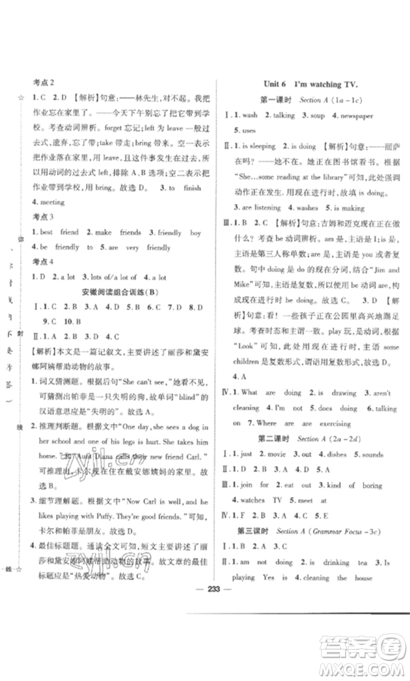 陽光出版社2023精英新課堂七年級英語下冊人教版安徽專版參考答案
