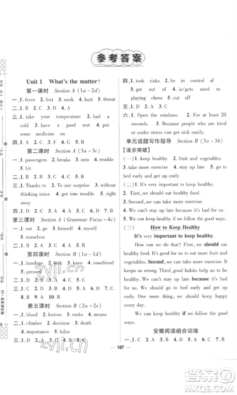 陽(yáng)光出版社2023精英新課堂八年級(jí)英語(yǔ)下冊(cè)人教版安徽專版參考答案