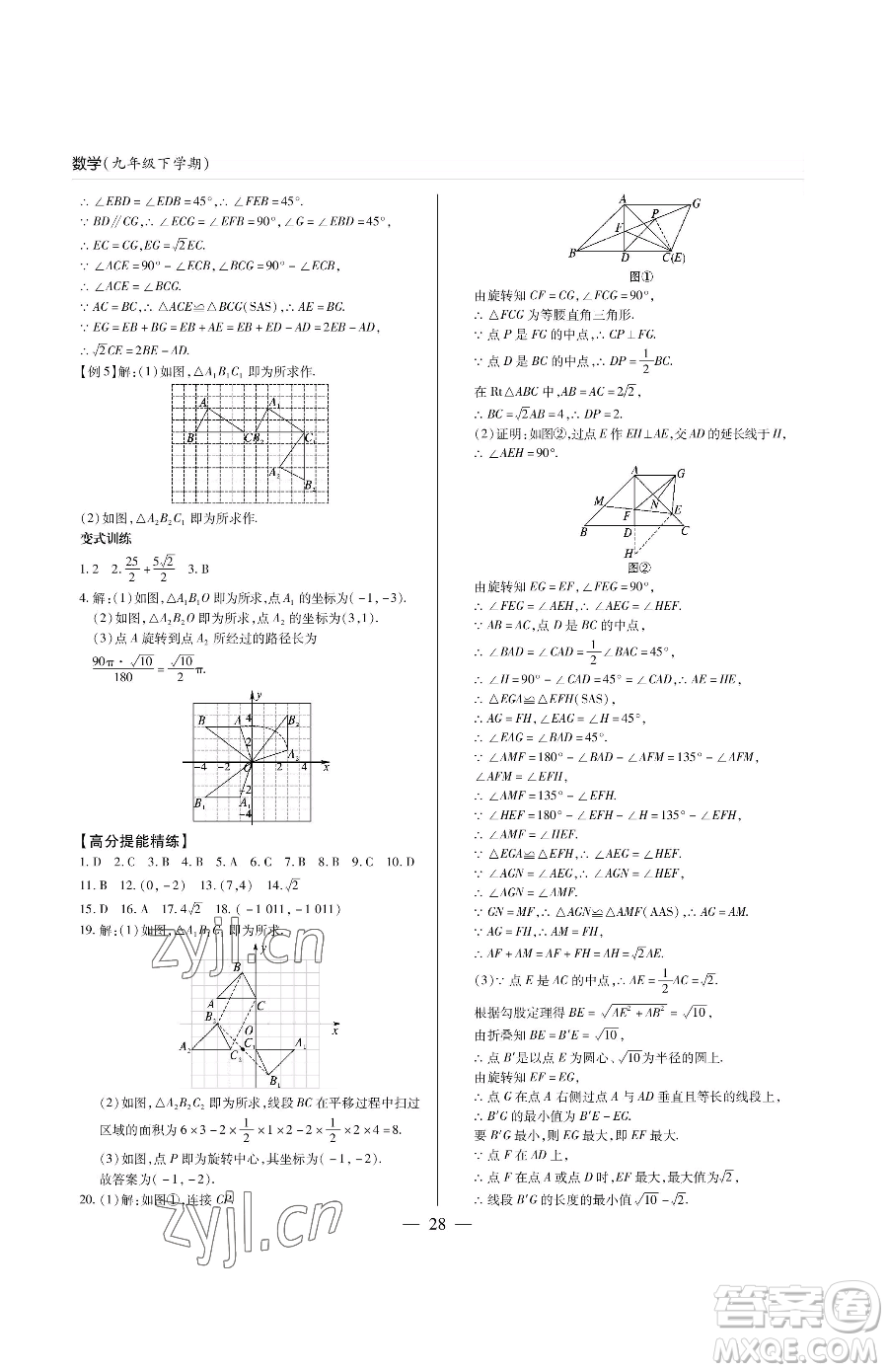 青島出版社2023新課堂同步學(xué)習(xí)與探究九年級下冊數(shù)學(xué)人教版金鄉(xiāng)專版參考答案