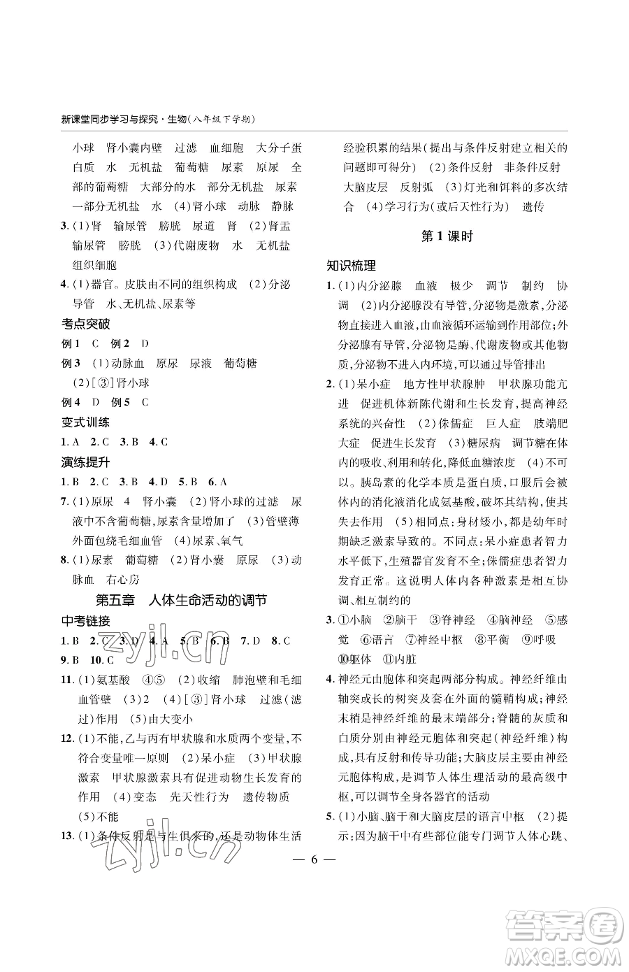 青島出版社2023新課堂同步學(xué)習(xí)與探究八年級(jí)下冊(cè)生物人教版金鄉(xiāng)專版參考答案
