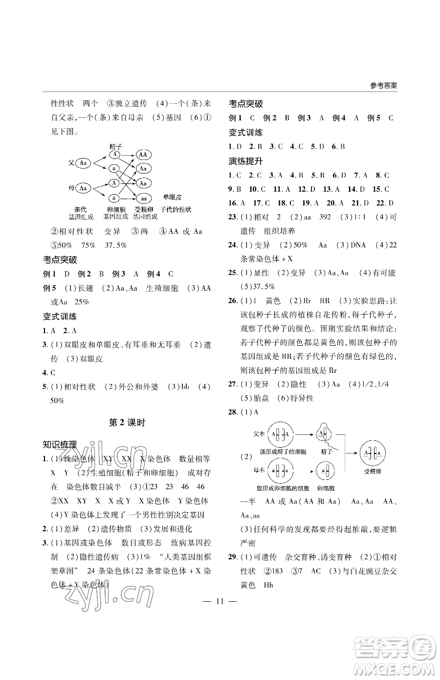 青島出版社2023新課堂同步學(xué)習(xí)與探究八年級(jí)下冊(cè)生物人教版金鄉(xiāng)專版參考答案