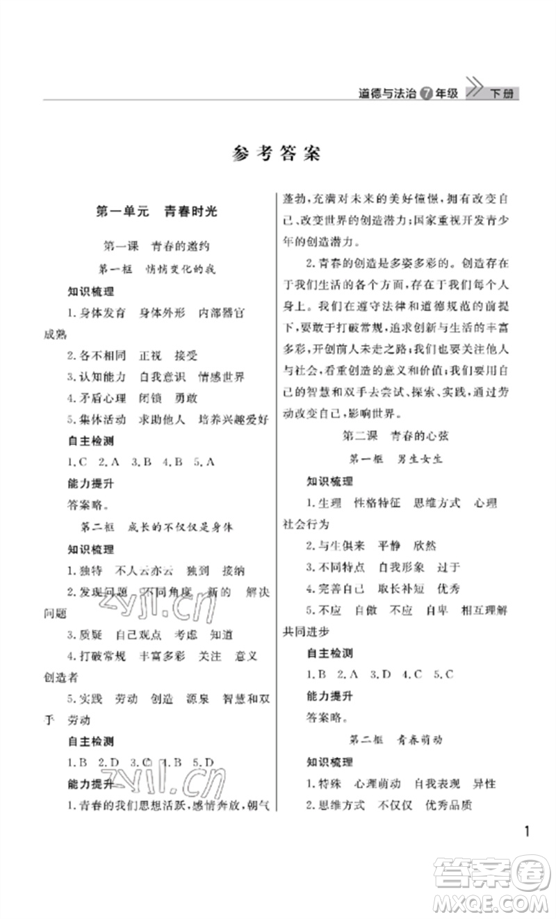 武漢出版社2023智慧學習天天向上課堂作業(yè)七年級道德與法治下冊人教版參考答案