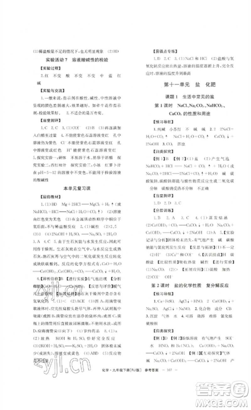 北京時代華文書局2023全效學習學業(yè)評價方案九年級化學下冊人教版參考答案