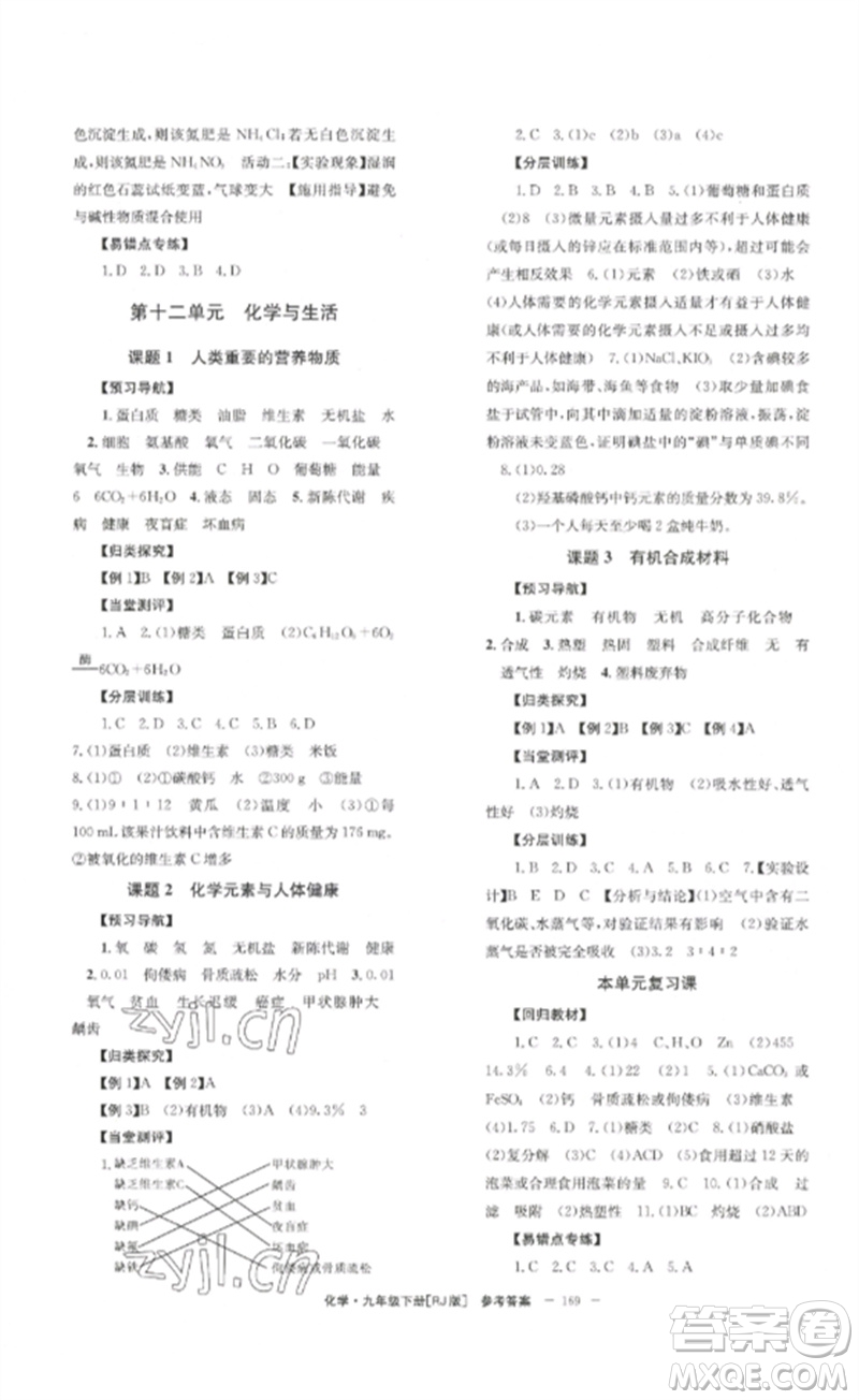 北京時代華文書局2023全效學習學業(yè)評價方案九年級化學下冊人教版參考答案