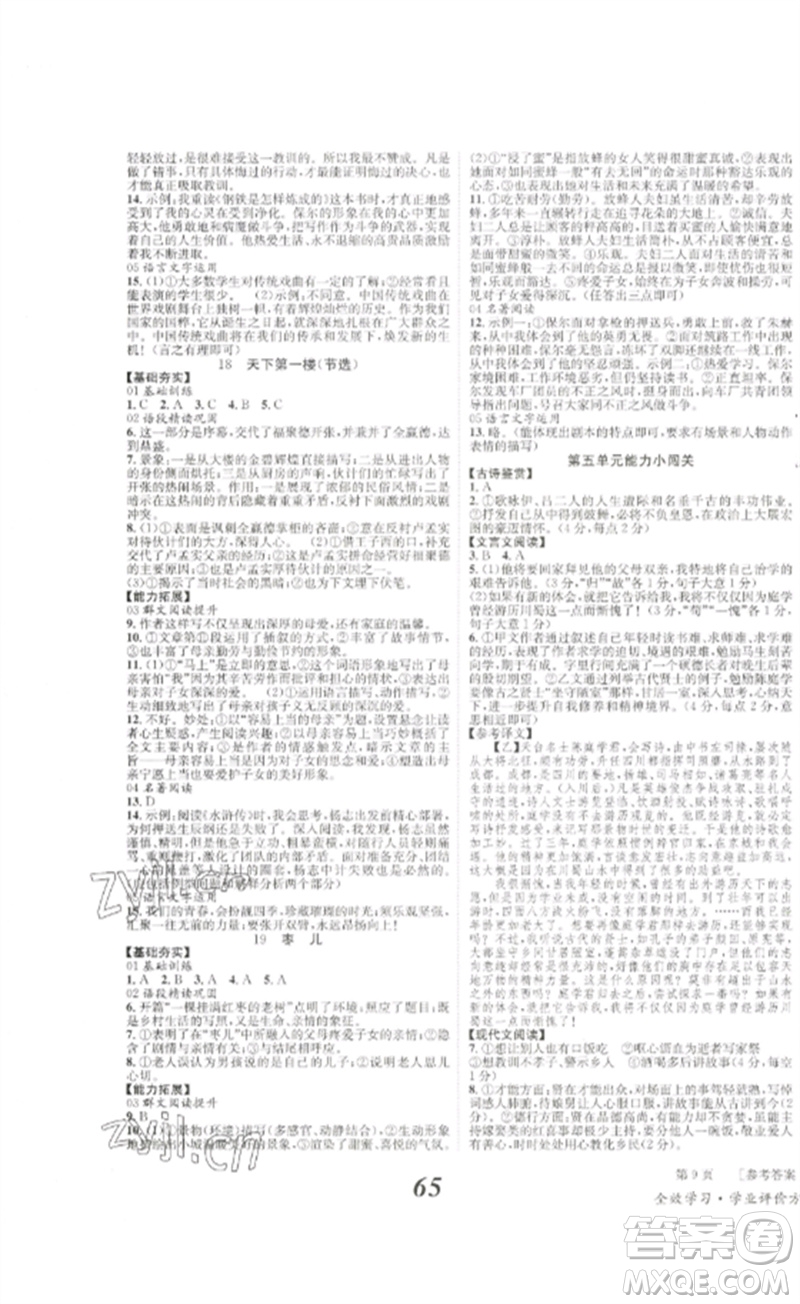 北京時(shí)代華文書(shū)局2023全效學(xué)習(xí)學(xué)業(yè)評(píng)價(jià)方案九年級(jí)語(yǔ)文下冊(cè)人教版參考答案
