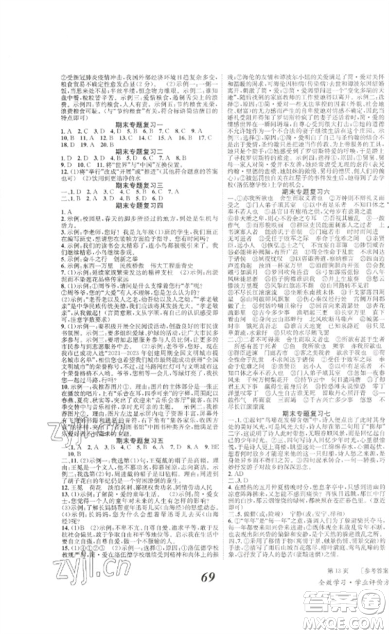 北京時(shí)代華文書(shū)局2023全效學(xué)習(xí)學(xué)業(yè)評(píng)價(jià)方案九年級(jí)語(yǔ)文下冊(cè)人教版參考答案