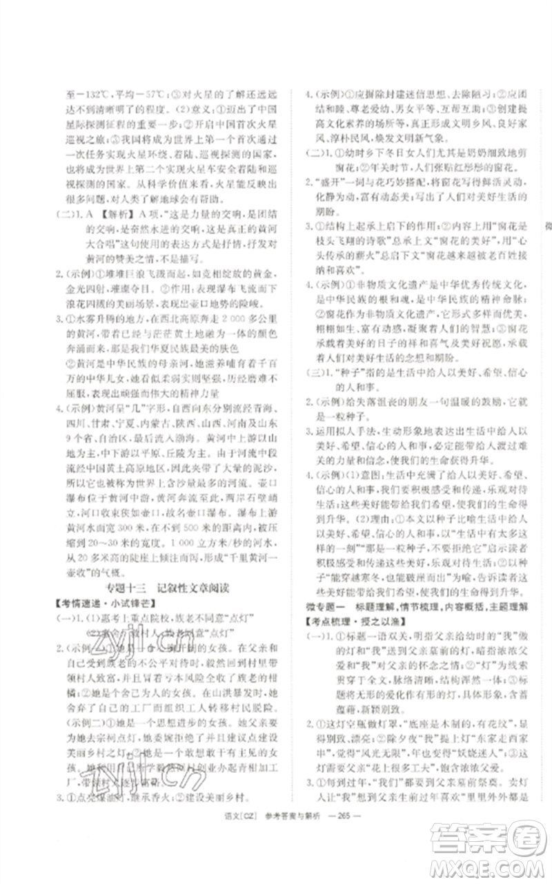 湖南師范大學(xué)出版社2023全效學(xué)習(xí)中考學(xué)練測九年級語文人教版郴州專版參考答案