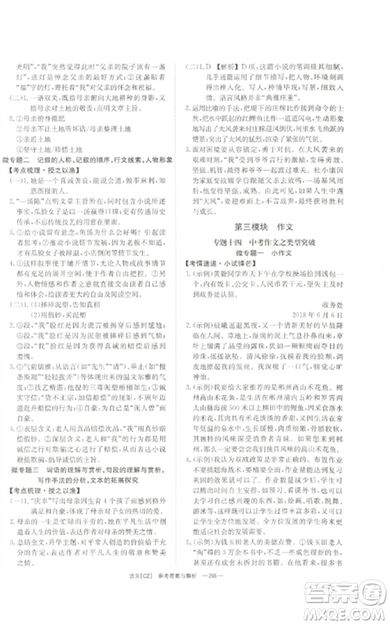 湖南師范大學(xué)出版社2023全效學(xué)習(xí)中考學(xué)練測九年級語文人教版郴州專版參考答案
