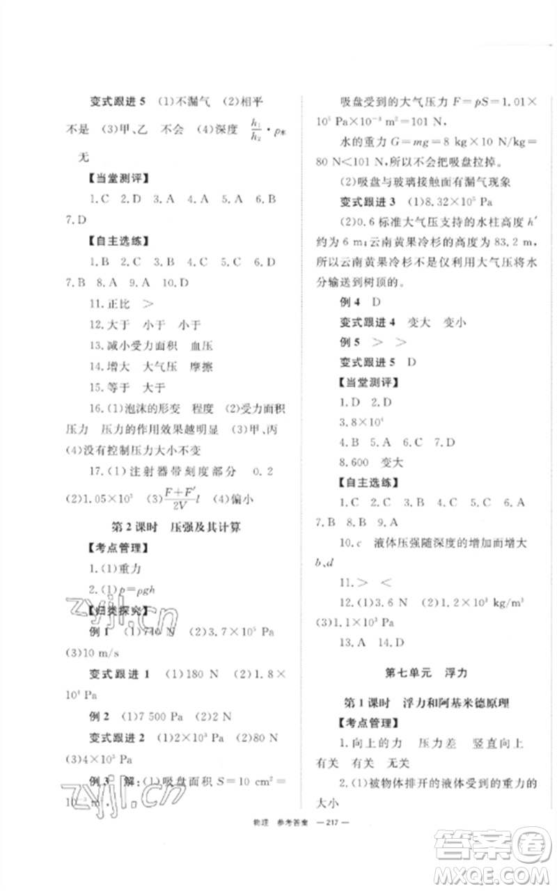 湖南師范大學(xué)出版社2023全效學(xué)習(xí)中考學(xué)練測九年級(jí)物理通用版參考答案