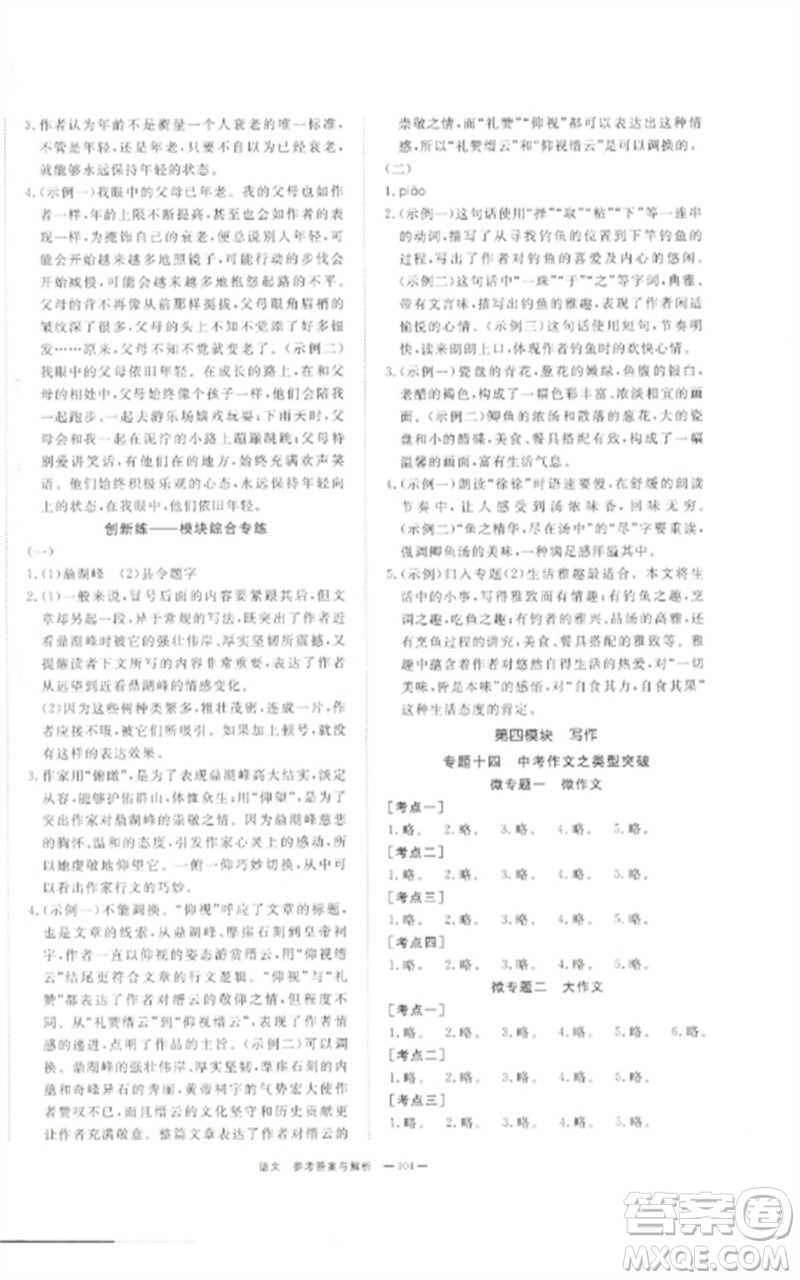 湖南師范大學(xué)出版社2023全效學(xué)習(xí)中考學(xué)練測九年級語文通用版參考答案