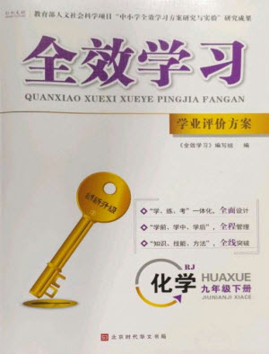 北京時代華文書局2023全效學習學業(yè)評價方案九年級化學下冊人教版參考答案