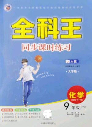 吉林人民出版社2023全科王同步課時(shí)練習(xí)九年級(jí)化學(xué)下冊(cè)人教版參考答案