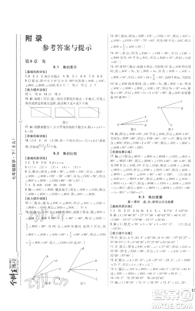 吉林人民出版社2023全科王同步課時練習七年級數學下冊青島版參考答案