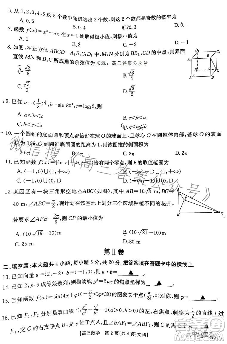 2023年金太陽(yáng)高三5月聯(lián)考23372C文科數(shù)學(xué)試卷答案