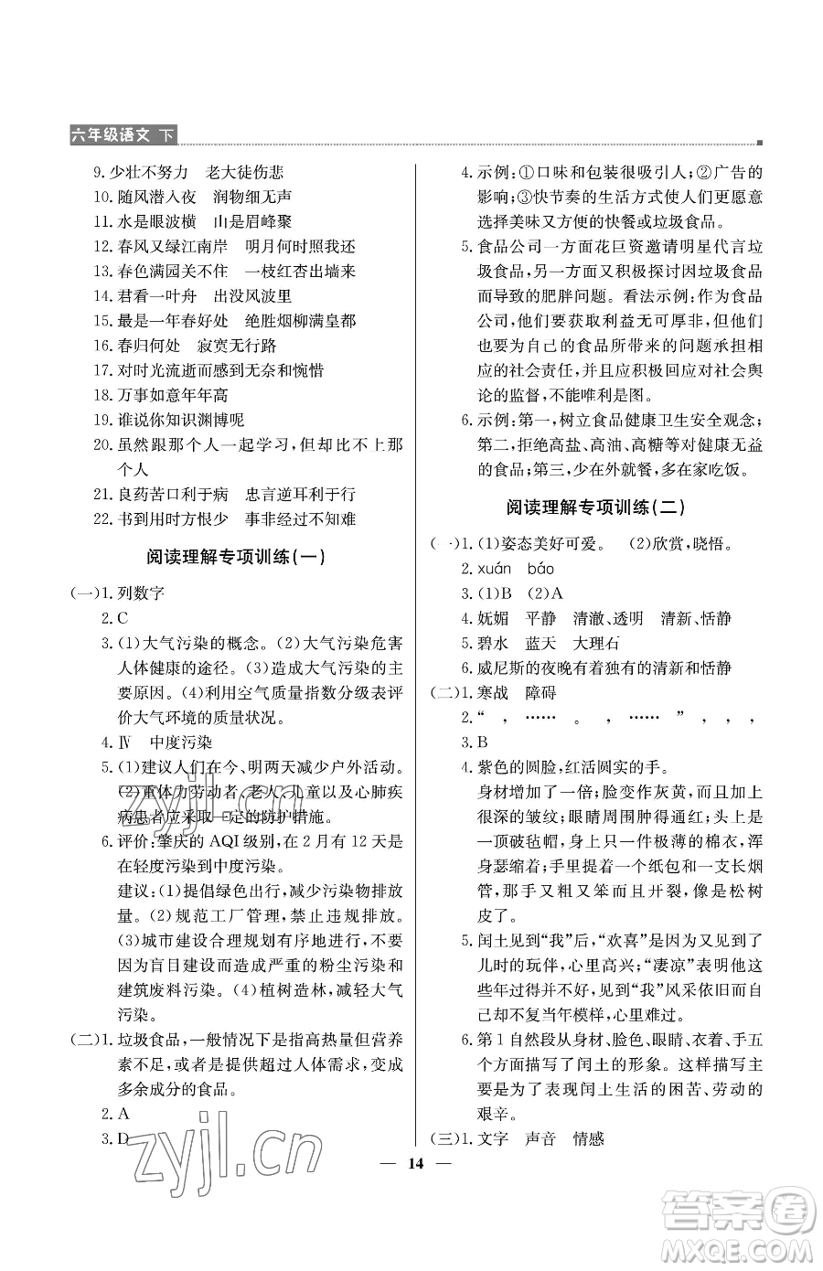 北京教育出版社2023提分教練優(yōu)學(xué)導(dǎo)練測(cè)六年級(jí)下冊(cè)語(yǔ)文人教版東莞專版參考答案