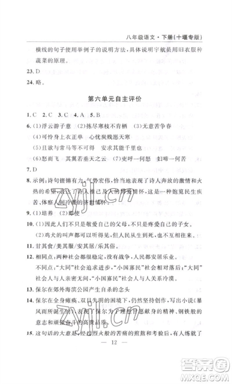 長(zhǎng)江少年兒童出版社2023智慧課堂自主評(píng)價(jià)八年級(jí)語(yǔ)文下冊(cè)人教版十堰專(zhuān)版參考答案