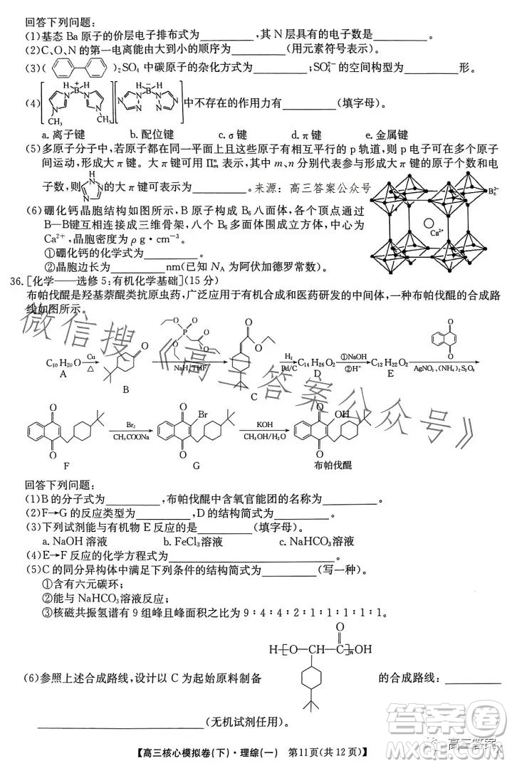 九師聯(lián)盟2022-2023學(xué)年高三核心模擬卷下理科綜合一答案
