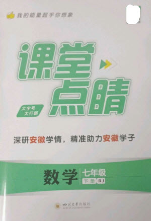 四川大學(xué)出版社2023課堂點(diǎn)睛七年級數(shù)學(xué)下冊人教版安徽專版參考答案