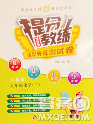 北京教育出版社2023提分教練優(yōu)學導練測九年級下冊化學人教版參考答案