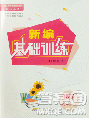 安徽教育出版社2023新編基礎訓練九年級下冊化學人教版參考答案