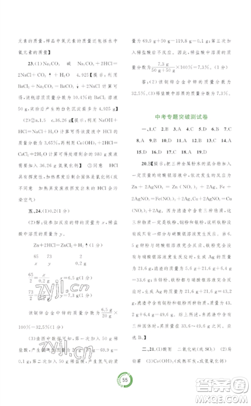 廣西師范大學(xué)出版社2023中考先鋒中考總復(fù)習(xí)配套測試卷九年級(jí)化學(xué)A版人教版參考答案