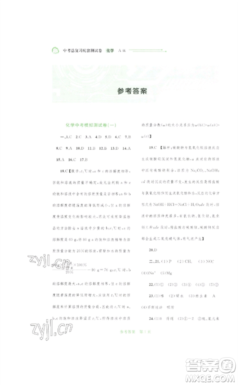 廣西師范大學(xué)出版社2023中考先鋒中考總復(fù)習(xí)配套測試卷九年級(jí)化學(xué)A版人教版參考答案