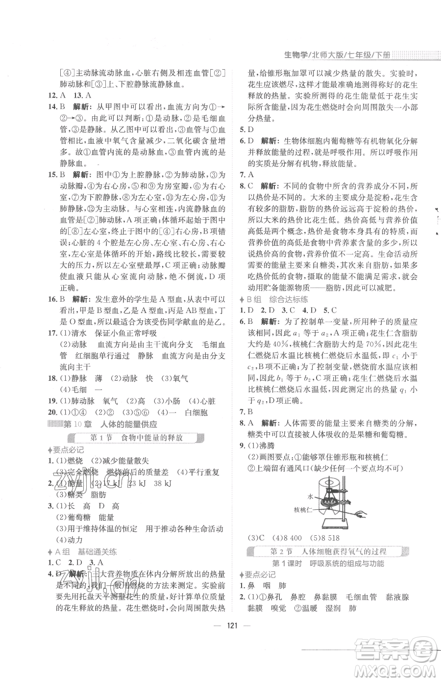 安徽教育出版社2023新編基礎(chǔ)訓(xùn)練七年級(jí)下冊(cè)生物學(xué)北師大版參考答案