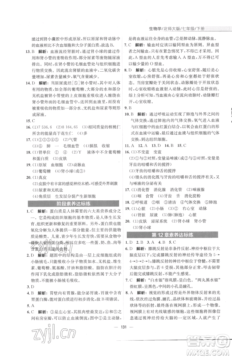 安徽教育出版社2023新編基礎(chǔ)訓(xùn)練七年級(jí)下冊(cè)生物學(xué)北師大版參考答案