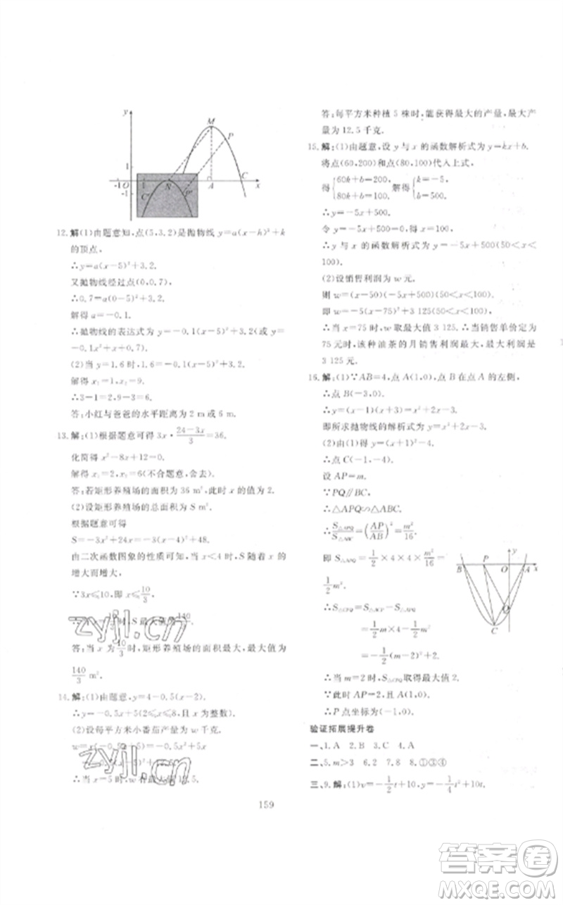 新疆文化出版社2023中考先鋒初中總復習全程培優(yōu)訓練第一方案九年級數學通用版參考答案