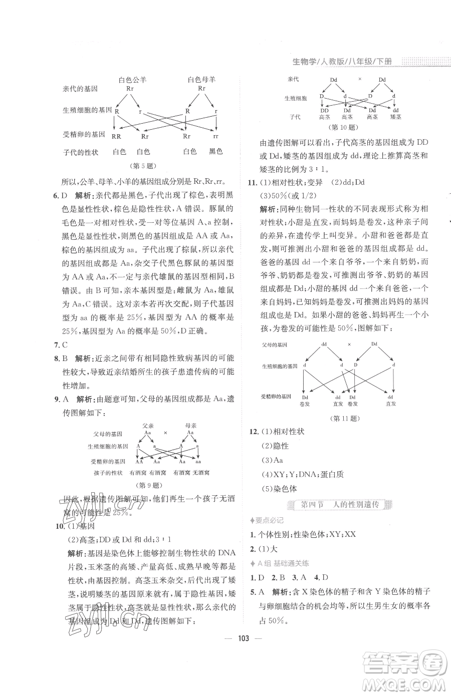 安徽教育出版社2023新編基礎(chǔ)訓(xùn)練八年級(jí)下冊(cè)生物人教版參考答案