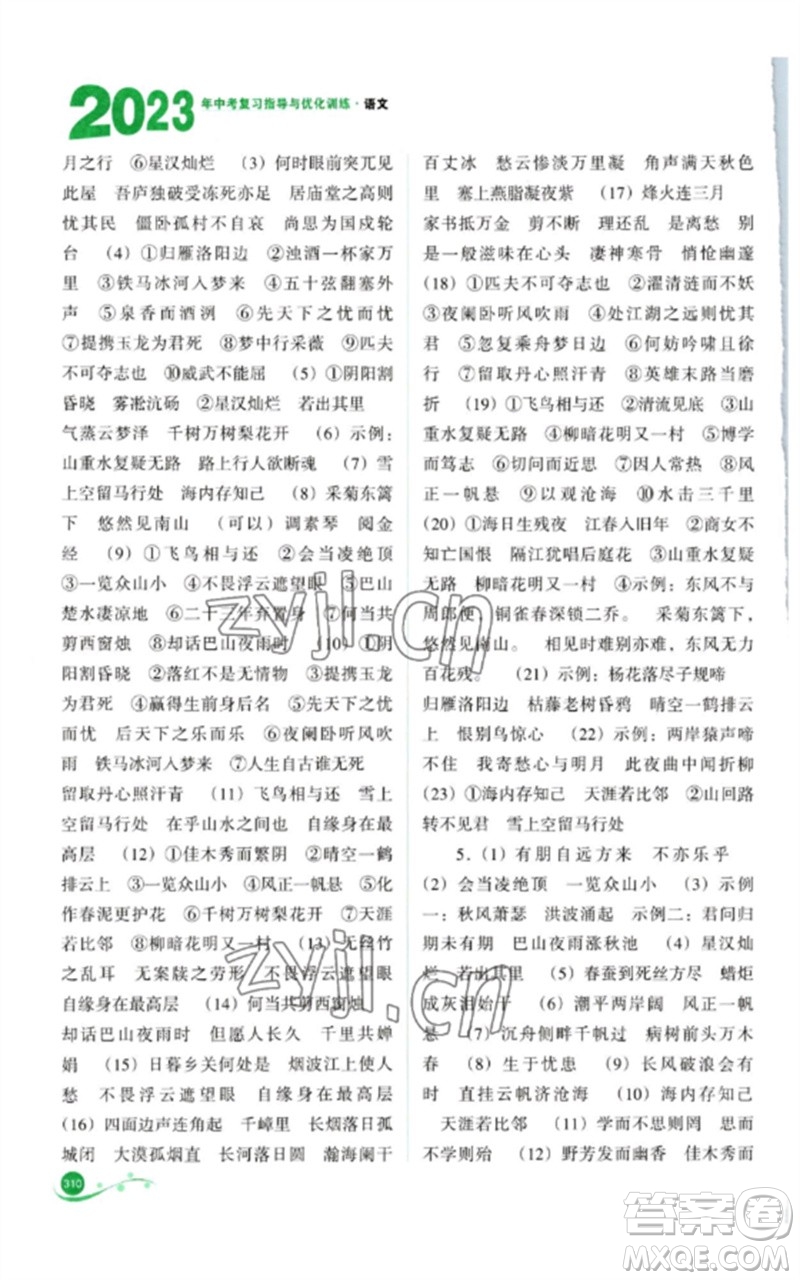 山西教育出版社2023中考復(fù)習(xí)指導(dǎo)與優(yōu)化訓(xùn)練九年級語文通用版參考答案